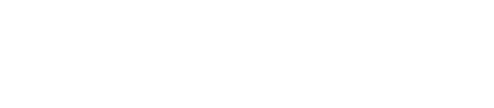 NAYEE LLC